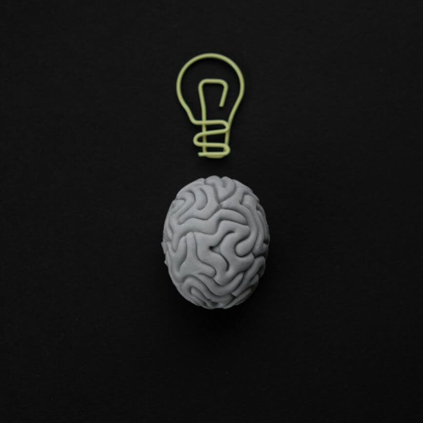 Como é o desenvolvimento do cérebro da criança até a fase adulta? brain shape eraser and a paper clip